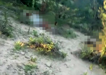Três baianos são encontrados mortos e amarrados em matagal no Sul do Piauí